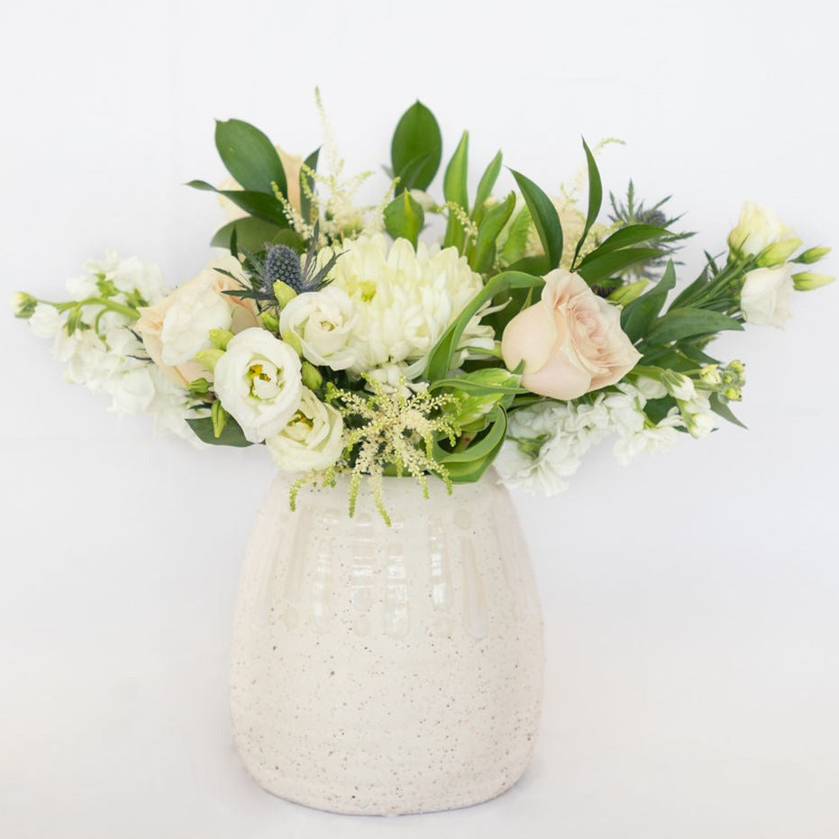 Crisp Ivory