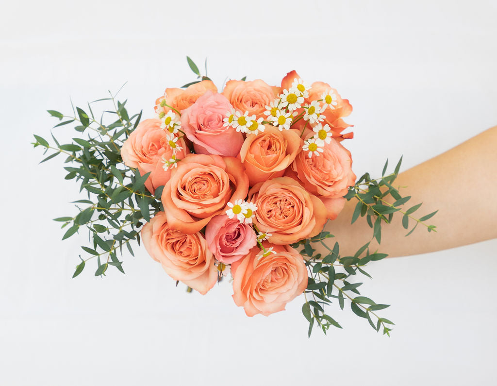 Sweet Rose