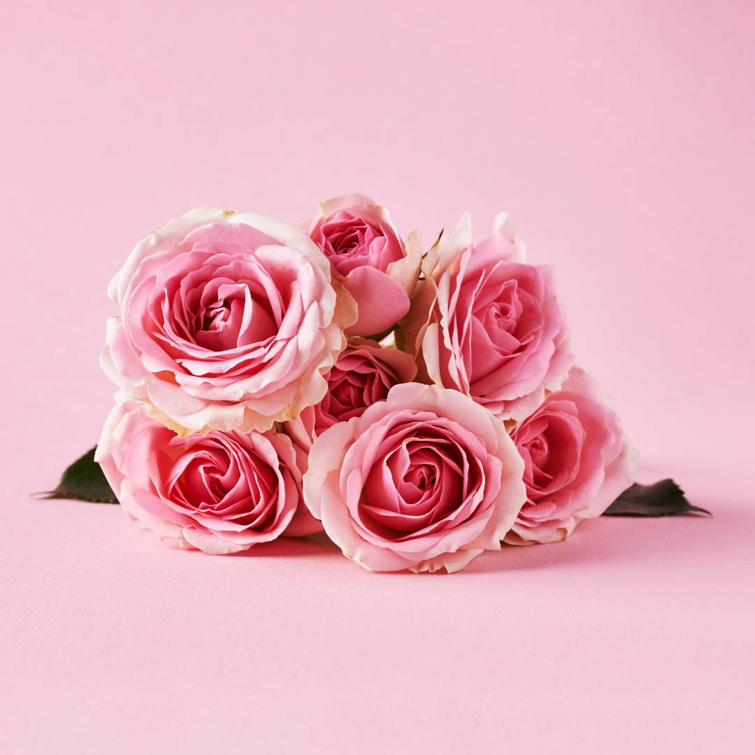 Valentine's Day Pink Roses
