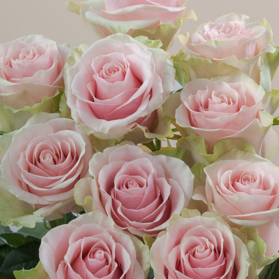 Floral arrangement featuring pink Mondial roses with lush petals and fresh greenery