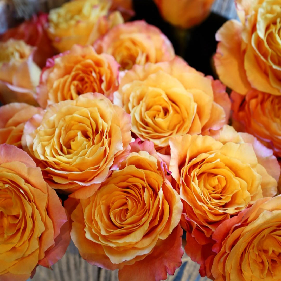 Floral arrangement featuring free spirit roses with soft peach tones and seasonal greenery